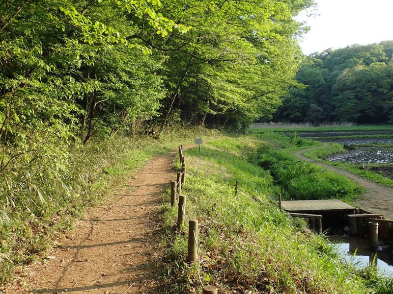 “駅なし”のまち・武蔵村山市に変化, 「ついに武蔵村山に駅が！」ネットが沸いた, モノレールの新駅誕生は嬉しいがルートは……, 20代の本音「学生時代にできてほしかった」, 「頻繁に使うかは微妙」というリアルな声