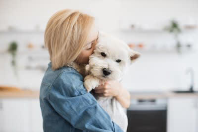 犬に対する無意識なNG行動, 1.黙ってジッと見つめ続けること, 2.叱るときに名前を呼ぶこと, 3.構いすぎること