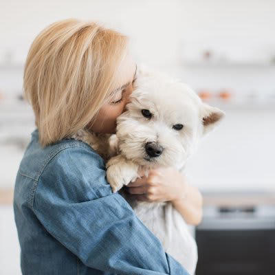 犬に対する無意識なNG行動, 1.黙ってジッと見つめ続けること, 2.叱るときに名前を呼ぶこと, 3.構いすぎること