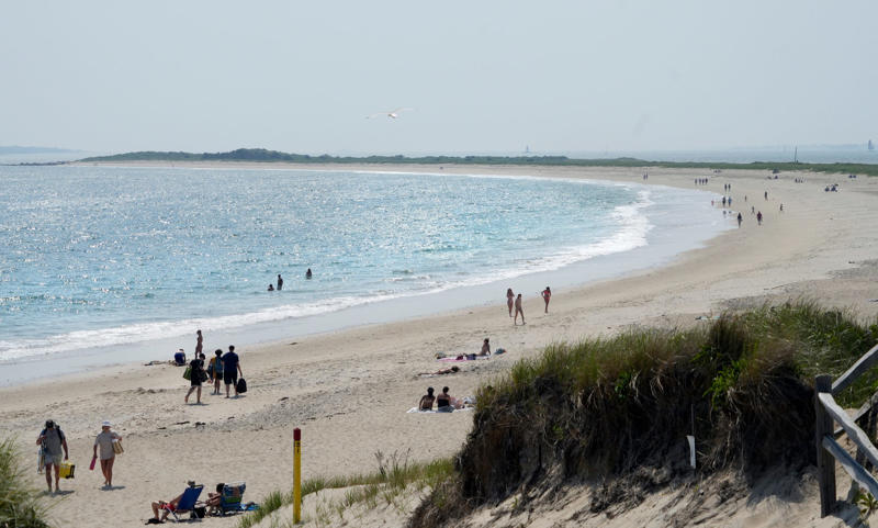 Hike or bike through nature, Soak up the last beach days, Shop at a farmers' market, Have fun at a festival, Go whale watching