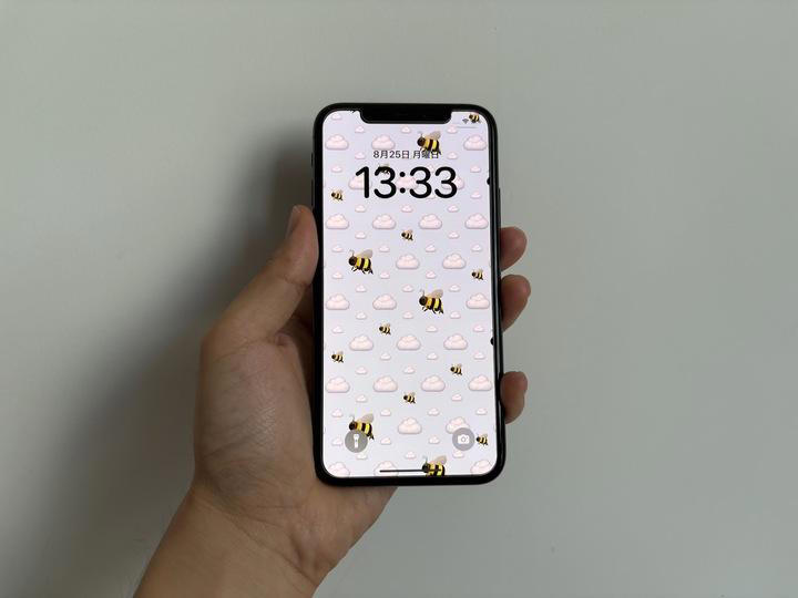 「それiPhone XSで十分じゃん…」で6年経過, 「バッテリー交換」でめっちゃ延命できた, でも、熱くなりすぎる。持てなくなってきた…, このへんが潮時かな…