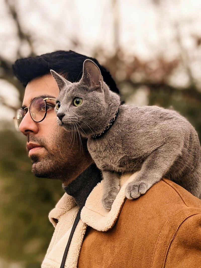 #33 My Dreams Of Having A Shoulder Cat Have Come True #1 My Shoulder Buddy, #3 Hopefully Shoulder Kittens Count, #5 Behold The Glorious Whiskers Of Shoulder Cat, #7 I See Your Shoulder Cats. I Raise You Crown Cat, #11 I Don’t Have A Cat, So I Present My Shoulder Bun!, #15 She Was Purrty Proud Of My Accomplishment, #19 Do These Count As Shoulder Animals?, #23 Shoulder Cat Will Be Fun, They Said, #25 I See Your Shoulder Cat And Raise You A Beard Kitten, #27 Shoulder Cats? Nah, How About Shoulder Bear?, #29 How About Shoulder Sugar Gliders?, #31 Shoulder Birb, #33 My Dreams Of Having A Shoulder Cat Have Come True, #35 Does A Rottweiler Puppy Count, #37 Hope I'm Not Too Late To Raise You A Second Shoulder Cat, #39 Am I Too Late? Fern, The Sweetest Opossum!, #41 Do Shoulder Squirrels Count?, #43 Shoulder Dane Anyone?, #45 Shoulder Cat Or Cyclops?, #47 I Thought My Little Shoulder Protector Should Get A Turn Too!!