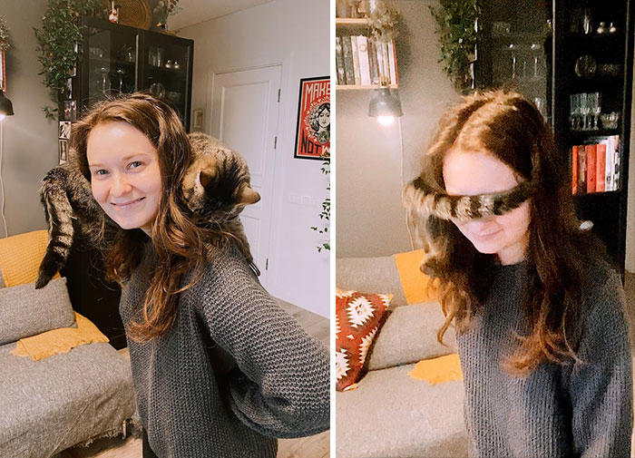 #45 Shoulder Cat Or Cyclops? #1 My Shoulder Buddy, #3 Hopefully Shoulder Kittens Count, #5 Behold The Glorious Whiskers Of Shoulder Cat, #7 I See Your Shoulder Cats. I Raise You Crown Cat, #11 I Don’t Have A Cat, So I Present My Shoulder Bun!, #15 She Was Purrty Proud Of My Accomplishment, #19 Do These Count As Shoulder Animals?, #23 Shoulder Cat Will Be Fun, They Said, #25 I See Your Shoulder Cat And Raise You A Beard Kitten, #27 Shoulder Cats? Nah, How About Shoulder Bear?, #29 How About Shoulder Sugar Gliders?, #31 Shoulder Birb, #33 My Dreams Of Having A Shoulder Cat Have Come True, #35 Does A Rottweiler Puppy Count, #37 Hope I'm Not Too Late To Raise You A Second Shoulder Cat, #39 Am I Too Late? Fern, The Sweetest Opossum!, #41 Do Shoulder Squirrels Count?, #43 Shoulder Dane Anyone?, #45 Shoulder Cat Or Cyclops?, #47 I Thought My Little Shoulder Protector Should Get A Turn Too!!