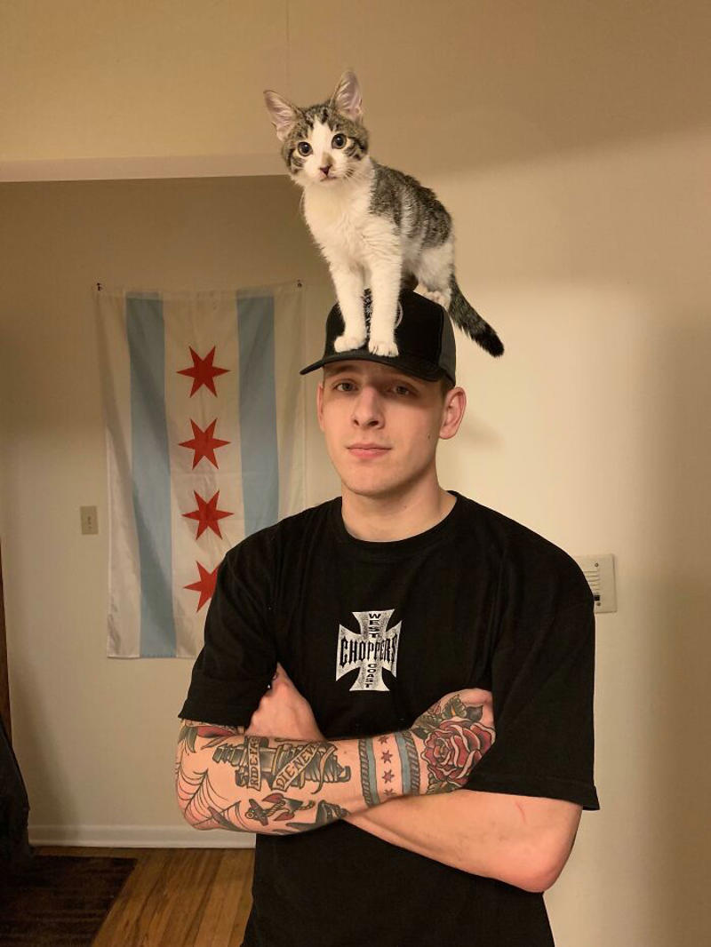 #7 I See Your Shoulder Cats. I Raise You Crown Cat #1 My Shoulder Buddy, #3 Hopefully Shoulder Kittens Count, #5 Behold The Glorious Whiskers Of Shoulder Cat, #7 I See Your Shoulder Cats. I Raise You Crown Cat, #11 I Don’t Have A Cat, So I Present My Shoulder Bun!, #15 She Was Purrty Proud Of My Accomplishment, #19 Do These Count As Shoulder Animals?, #23 Shoulder Cat Will Be Fun, They Said, #25 I See Your Shoulder Cat And Raise You A Beard Kitten, #27 Shoulder Cats? Nah, How About Shoulder Bear?, #29 How About Shoulder Sugar Gliders?, #31 Shoulder Birb, #33 My Dreams Of Having A Shoulder Cat Have Come True, #35 Does A Rottweiler Puppy Count, #37 Hope I'm Not Too Late To Raise You A Second Shoulder Cat, #39 Am I Too Late? Fern, The Sweetest Opossum!, #41 Do Shoulder Squirrels Count?, #43 Shoulder Dane Anyone?, #45 Shoulder Cat Or Cyclops?, #47 I Thought My Little Shoulder Protector Should Get A Turn Too!!