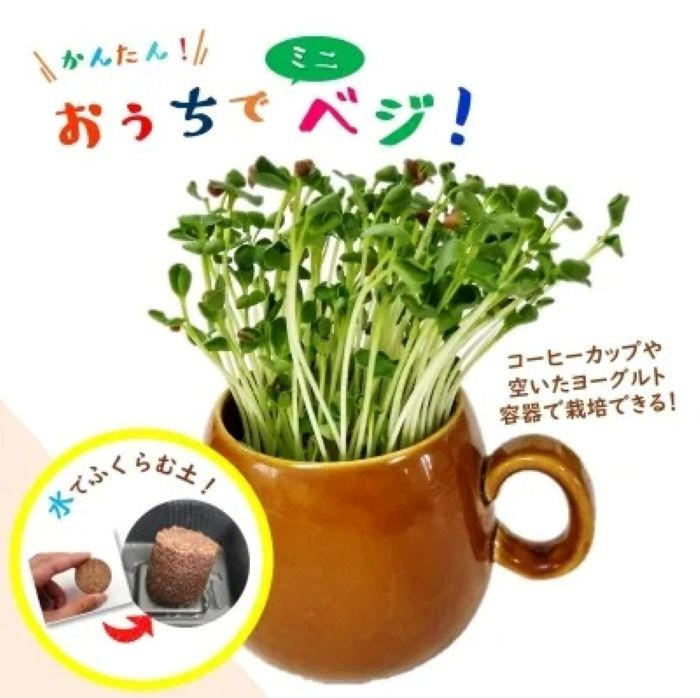 ・①種まき前に下準備する, ・③正しく水やりする, ・④適切な環境で成長させる, ・使う道具を清潔に保つ, ・雑菌が付着しないよう注意する, ・水は適量を守る     , ・高温多湿の場所を避ける, ・一度しか収穫できない, ・ブロッコリースプラウト栽培キット, ・おうちでミニベジ おうちでminiべジ ふくらむ土でスプラウト栽培！, ・水耕栽培でブロッコリースプラウトを育てよう