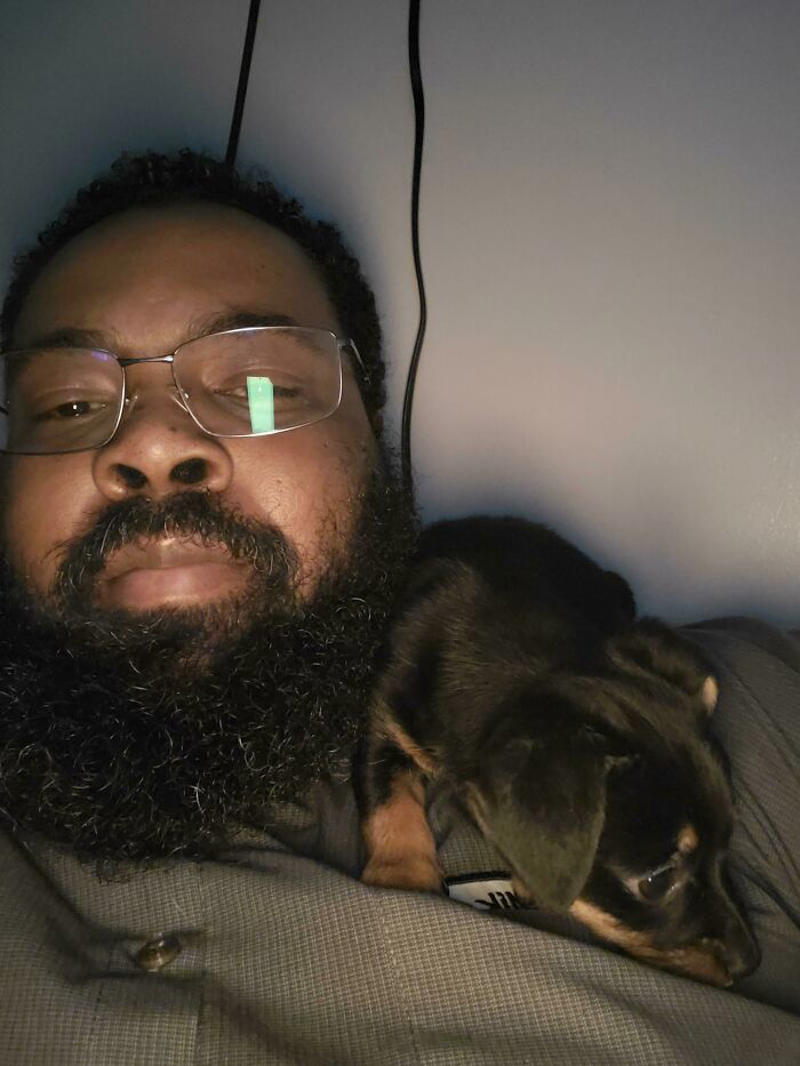 #35 Does A Rottweiler Puppy Count #1 My Shoulder Buddy, #3 Hopefully Shoulder Kittens Count, #5 Behold The Glorious Whiskers Of Shoulder Cat, #7 I See Your Shoulder Cats. I Raise You Crown Cat, #11 I Don’t Have A Cat, So I Present My Shoulder Bun!, #15 She Was Purrty Proud Of My Accomplishment, #19 Do These Count As Shoulder Animals?, #23 Shoulder Cat Will Be Fun, They Said, #25 I See Your Shoulder Cat And Raise You A Beard Kitten, #27 Shoulder Cats? Nah, How About Shoulder Bear?, #29 How About Shoulder Sugar Gliders?, #31 Shoulder Birb, #33 My Dreams Of Having A Shoulder Cat Have Come True, #35 Does A Rottweiler Puppy Count, #37 Hope I'm Not Too Late To Raise You A Second Shoulder Cat, #39 Am I Too Late? Fern, The Sweetest Opossum!, #41 Do Shoulder Squirrels Count?, #43 Shoulder Dane Anyone?, #45 Shoulder Cat Or Cyclops?, #47 I Thought My Little Shoulder Protector Should Get A Turn Too!!