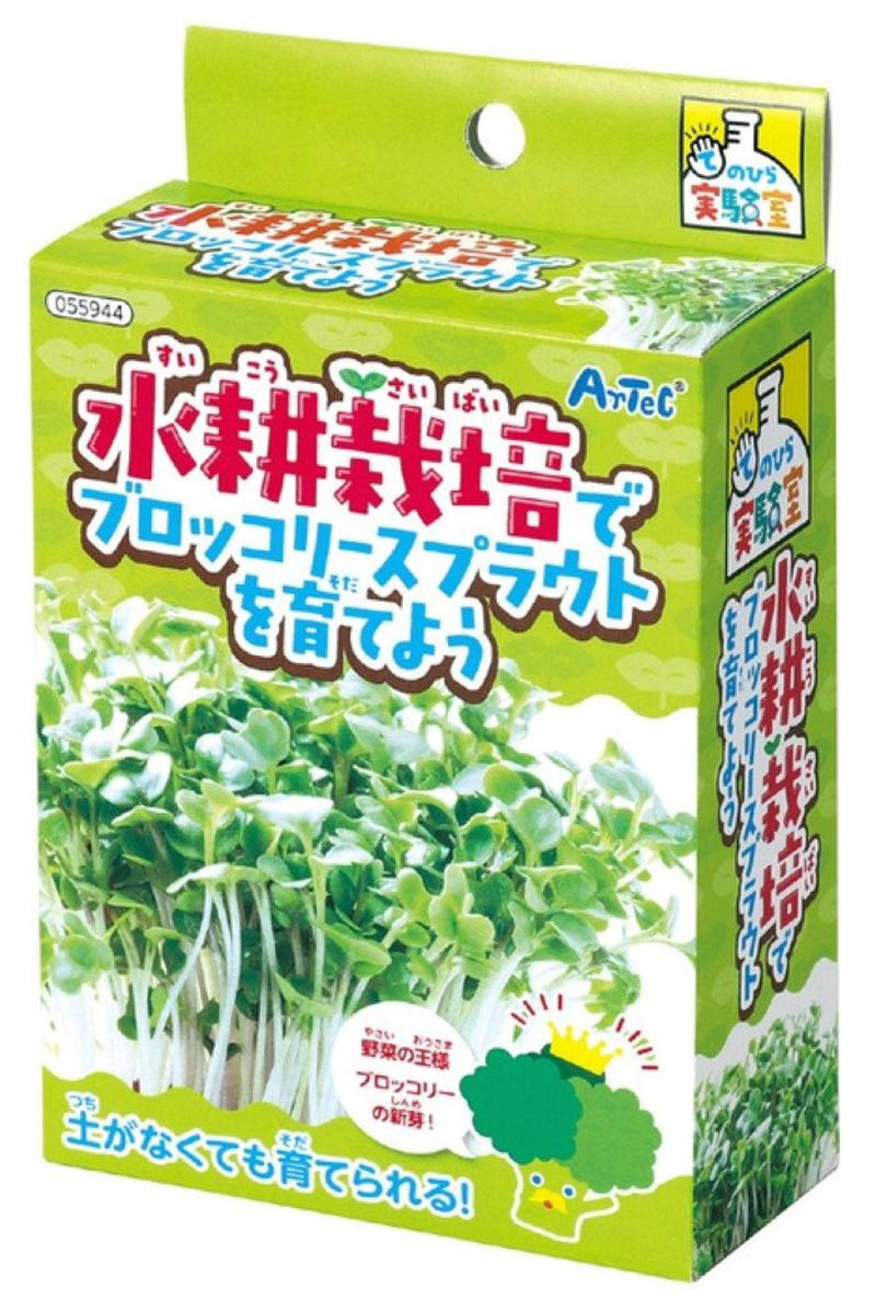 ・①種まき前に下準備する, ・③正しく水やりする, ・④適切な環境で成長させる, ・使う道具を清潔に保つ, ・雑菌が付着しないよう注意する, ・水は適量を守る     , ・高温多湿の場所を避ける, ・一度しか収穫できない, ・ブロッコリースプラウト栽培キット, ・おうちでミニベジ おうちでminiべジ ふくらむ土でスプラウト栽培！, ・水耕栽培でブロッコリースプラウトを育てよう
