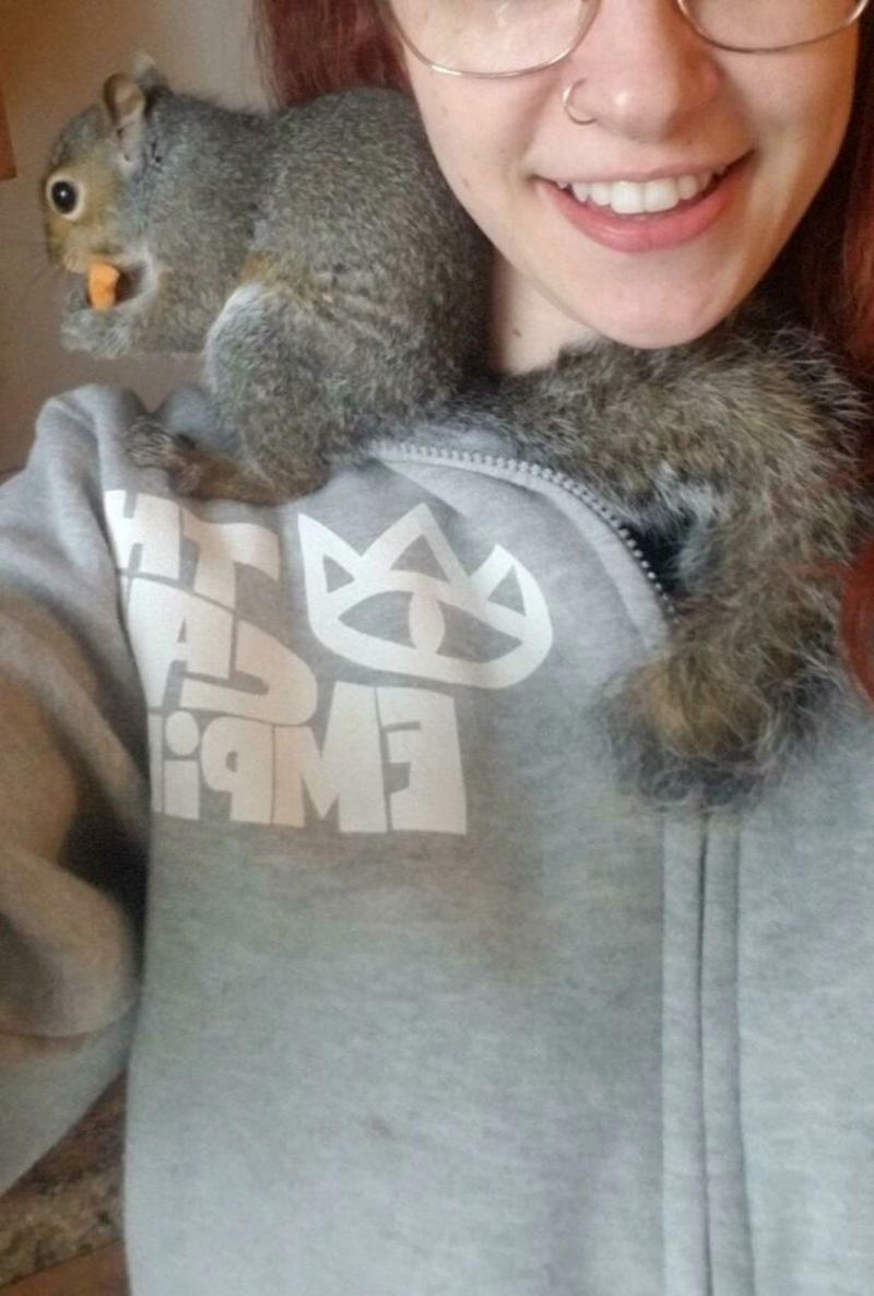 #41 Do Shoulder Squirrels Count? #1 My Shoulder Buddy, #3 Hopefully Shoulder Kittens Count, #5 Behold The Glorious Whiskers Of Shoulder Cat, #7 I See Your Shoulder Cats. I Raise You Crown Cat, #11 I Don’t Have A Cat, So I Present My Shoulder Bun!, #15 She Was Purrty Proud Of My Accomplishment, #19 Do These Count As Shoulder Animals?, #23 Shoulder Cat Will Be Fun, They Said, #25 I See Your Shoulder Cat And Raise You A Beard Kitten, #27 Shoulder Cats? Nah, How About Shoulder Bear?, #29 How About Shoulder Sugar Gliders?, #31 Shoulder Birb, #33 My Dreams Of Having A Shoulder Cat Have Come True, #35 Does A Rottweiler Puppy Count, #37 Hope I'm Not Too Late To Raise You A Second Shoulder Cat, #39 Am I Too Late? Fern, The Sweetest Opossum!, #41 Do Shoulder Squirrels Count?, #43 Shoulder Dane Anyone?, #45 Shoulder Cat Or Cyclops?, #47 I Thought My Little Shoulder Protector Should Get A Turn Too!!