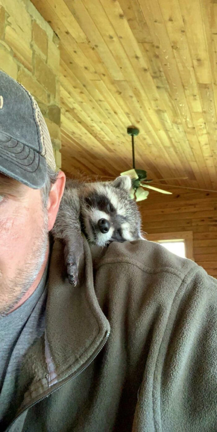 #1 My Shoulder Buddy #1 My Shoulder Buddy, #3 Hopefully Shoulder Kittens Count, #5 Behold The Glorious Whiskers Of Shoulder Cat, #7 I See Your Shoulder Cats. I Raise You Crown Cat, #11 I Don’t Have A Cat, So I Present My Shoulder Bun!, #15 She Was Purrty Proud Of My Accomplishment, #19 Do These Count As Shoulder Animals?, #23 Shoulder Cat Will Be Fun, They Said, #25 I See Your Shoulder Cat And Raise You A Beard Kitten, #27 Shoulder Cats? Nah, How About Shoulder Bear?, #29 How About Shoulder Sugar Gliders?, #31 Shoulder Birb, #33 My Dreams Of Having A Shoulder Cat Have Come True, #35 Does A Rottweiler Puppy Count, #37 Hope I'm Not Too Late To Raise You A Second Shoulder Cat, #39 Am I Too Late? Fern, The Sweetest Opossum!, #41 Do Shoulder Squirrels Count?, #43 Shoulder Dane Anyone?, #45 Shoulder Cat Or Cyclops?, #47 I Thought My Little Shoulder Protector Should Get A Turn Too!!