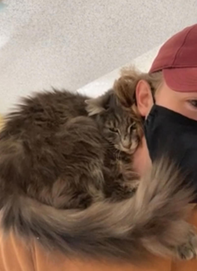 #17 Within 2 Seconds Of Meeting The Cat I Was Adopting, She Climbed Onto My Shoulders #1 My Shoulder Buddy, #3 Hopefully Shoulder Kittens Count, #5 Behold The Glorious Whiskers Of Shoulder Cat, #7 I See Your Shoulder Cats. I Raise You Crown Cat, #11 I Don’t Have A Cat, So I Present My Shoulder Bun!, #15 She Was Purrty Proud Of My Accomplishment, #19 Do These Count As Shoulder Animals?, #23 Shoulder Cat Will Be Fun, They Said, #25 I See Your Shoulder Cat And Raise You A Beard Kitten, #27 Shoulder Cats? Nah, How About Shoulder Bear?, #29 How About Shoulder Sugar Gliders?, #31 Shoulder Birb, #33 My Dreams Of Having A Shoulder Cat Have Come True, #35 Does A Rottweiler Puppy Count, #37 Hope I'm Not Too Late To Raise You A Second Shoulder Cat, #39 Am I Too Late? Fern, The Sweetest Opossum!, #41 Do Shoulder Squirrels Count?, #43 Shoulder Dane Anyone?, #45 Shoulder Cat Or Cyclops?, #47 I Thought My Little Shoulder Protector Should Get A Turn Too!!