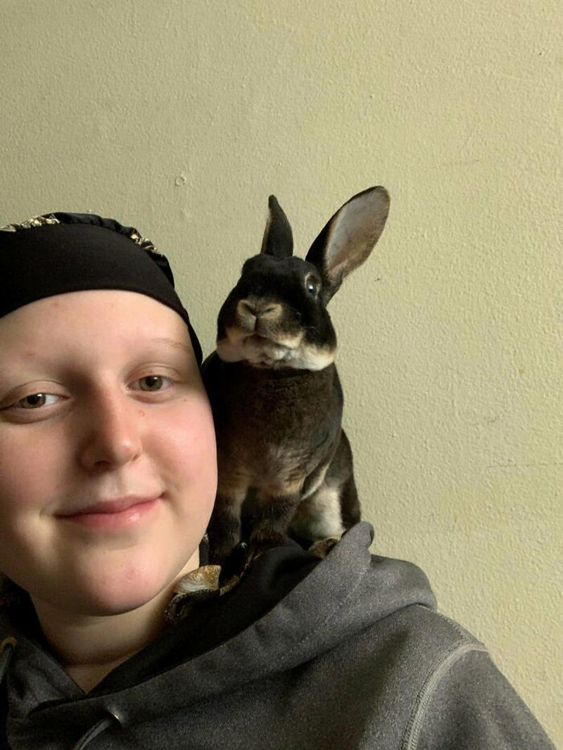 #11 I Don’t Have A Cat, So I Present My Shoulder Bun! #1 My Shoulder Buddy, #3 Hopefully Shoulder Kittens Count, #5 Behold The Glorious Whiskers Of Shoulder Cat, #7 I See Your Shoulder Cats. I Raise You Crown Cat, #11 I Don’t Have A Cat, So I Present My Shoulder Bun!, #15 She Was Purrty Proud Of My Accomplishment, #19 Do These Count As Shoulder Animals?, #23 Shoulder Cat Will Be Fun, They Said, #25 I See Your Shoulder Cat And Raise You A Beard Kitten, #27 Shoulder Cats? Nah, How About Shoulder Bear?, #29 How About Shoulder Sugar Gliders?, #31 Shoulder Birb, #33 My Dreams Of Having A Shoulder Cat Have Come True, #35 Does A Rottweiler Puppy Count, #37 Hope I'm Not Too Late To Raise You A Second Shoulder Cat, #39 Am I Too Late? Fern, The Sweetest Opossum!, #41 Do Shoulder Squirrels Count?, #43 Shoulder Dane Anyone?, #45 Shoulder Cat Or Cyclops?, #47 I Thought My Little Shoulder Protector Should Get A Turn Too!!