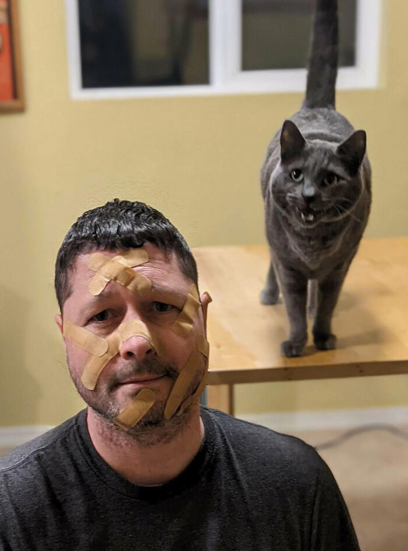 #23 Shoulder Cat Will Be Fun, They Said #1 My Shoulder Buddy, #3 Hopefully Shoulder Kittens Count, #5 Behold The Glorious Whiskers Of Shoulder Cat, #7 I See Your Shoulder Cats. I Raise You Crown Cat, #11 I Don’t Have A Cat, So I Present My Shoulder Bun!, #15 She Was Purrty Proud Of My Accomplishment, #19 Do These Count As Shoulder Animals?, #23 Shoulder Cat Will Be Fun, They Said, #25 I See Your Shoulder Cat And Raise You A Beard Kitten, #27 Shoulder Cats? Nah, How About Shoulder Bear?, #29 How About Shoulder Sugar Gliders?, #31 Shoulder Birb, #33 My Dreams Of Having A Shoulder Cat Have Come True, #35 Does A Rottweiler Puppy Count, #37 Hope I'm Not Too Late To Raise You A Second Shoulder Cat, #39 Am I Too Late? Fern, The Sweetest Opossum!, #41 Do Shoulder Squirrels Count?, #43 Shoulder Dane Anyone?, #45 Shoulder Cat Or Cyclops?, #47 I Thought My Little Shoulder Protector Should Get A Turn Too!!