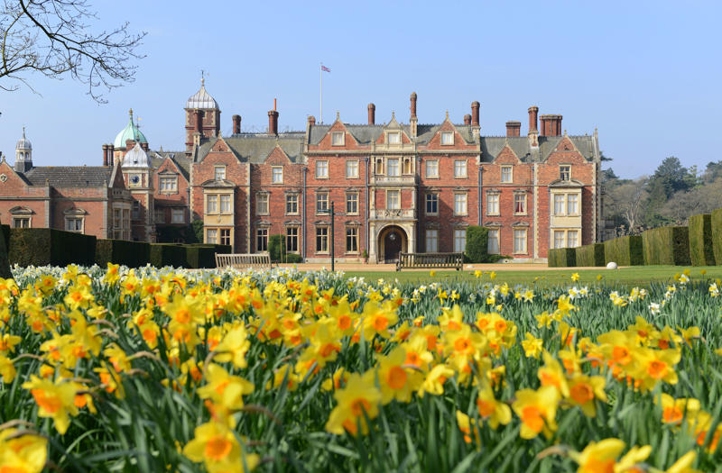 17 Bruton Street, White Lodge, 145 Piccadilly, The Royal Lodge, Y Bwthyn Bach, Birkhall, Buckingham Palace, Clarence House, Villa Guardamangia, Windlesham Moor, Sandringham, Windsor Castle, Hillsborough Castle, Palace of Holyroodhouse, Balmoral Castle