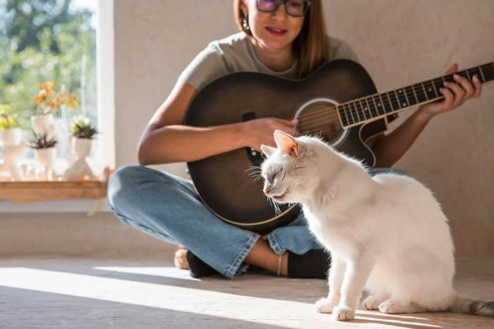 1.猫も音楽を聴くとストレス解消になる, 2.猫にも好きな音楽と嫌いな音楽がある, 3.猫は音楽を覚える, 猫に音楽を聴かせる際の注意点とおすすめの曲