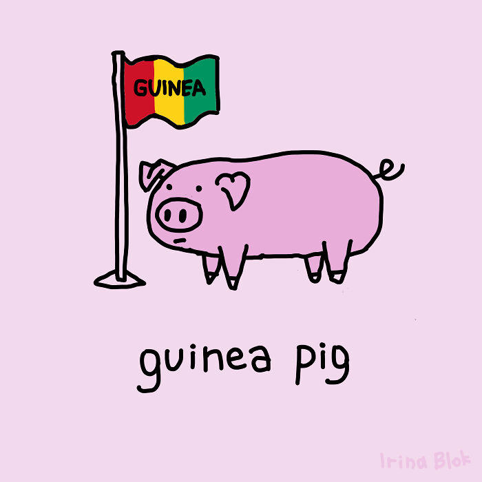 #15 Guinea Pig #1 Microwave, #3 Mug Shot, #5 Dirty Dishes, #7 Tired, #9 Boxer Shorts, #11 Minds, #13 Straight As, #15 Guinea Pig, #17 Salad Dressing, #19 Active Yeast, #21 Quick Question, #23 Honeycomb, #25 Happy Pills, #27 Save