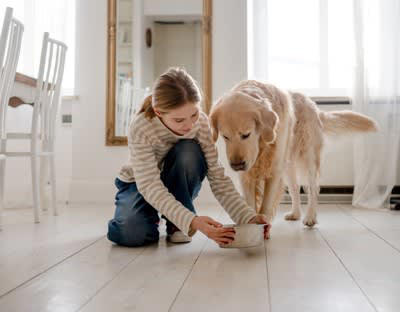 犬に与える理想的な1日の水分量目安は？, 犬に『水分補給』をさせるときの絶対NG行為4選, 1.水をこまめに取り替えない, 2.水の温度が冷たすぎる、熱すぎる, 3.水道水以外の水を与える, 4.用意している水分量が足りない, 愛犬の健康を守る水の与え方は？