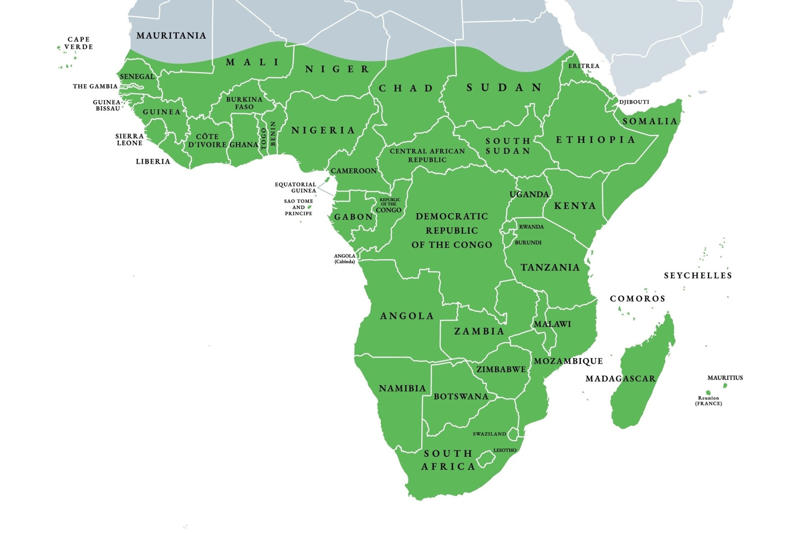 Routine vaccines, South America, Yellow fever, Central America and Caribbean, Mosquito risks, Northern Africa, Limited insect-borne risks, Sub-Saharan Africa, Meningitis, Middle East, Pilgrimage-specific vaccines, Vector concerns, East Asia, Japanese encephalitis, Insect precautions, Southeast Asia, Cholera and malaria, South Asia, Malaria and altitude, Special situations, North America, General precautions