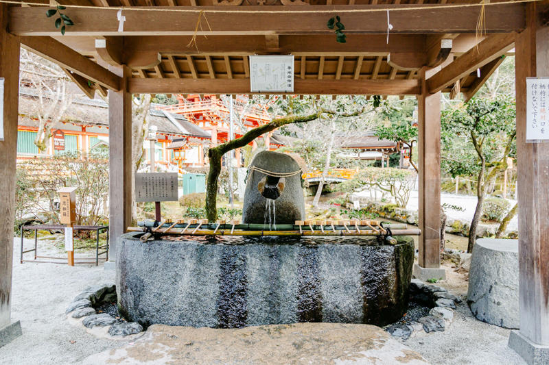 Saihō-ji Temple, Shakusui-en Garden at Four Seasons Kyoto, Philosopher's Path, Toji Temple Flea Market, Blue Bottle Studio, The House of Ki No Bi, Kamigamo Jinja Shrine, Cocoo Urushi Lacquerware Workshop, Nokishita 77