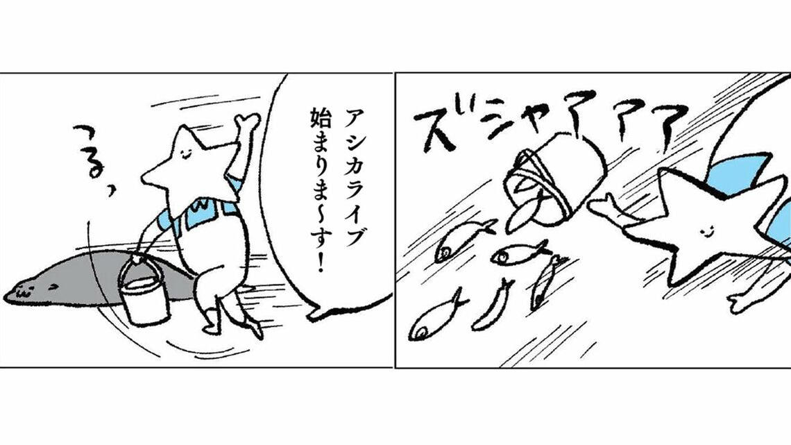 ライブのライブ感を楽しむ, 飼育員と生きもののやりとりも、おもしろさのひとつ, サイン出しの裏に, サインはどこの水族館でも同じ？違う？