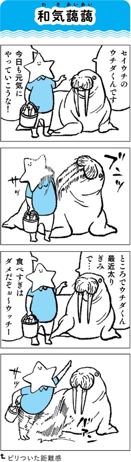 ライブのライブ感を楽しむ, 飼育員と生きもののやりとりも、おもしろさのひとつ, サイン出しの裏に, サインはどこの水族館でも同じ？違う？
