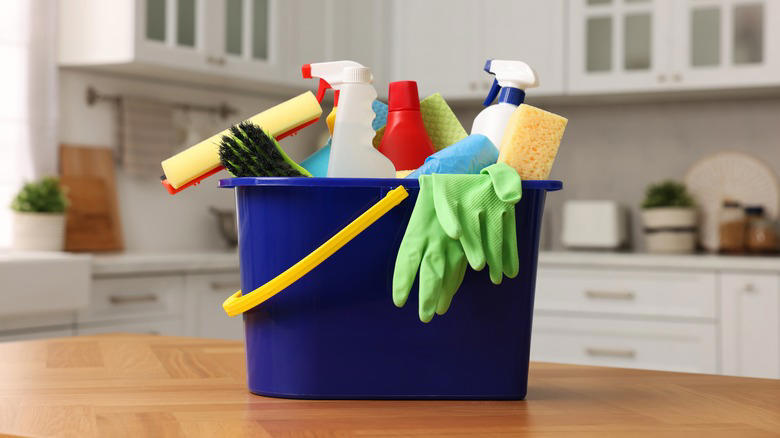 Pet Leashes And Collars, Cleaning Products, Chargers And Electronics, Raw Meat, Mail And Documents, Pet Food, Dirty Sponges, Kitchen Appliances, Cooked Rice, Remote Control, Excessive Decoration, Medications And Pills