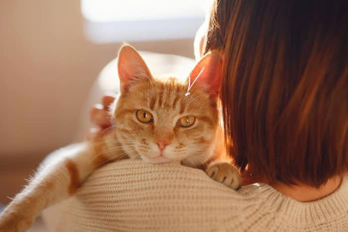 1.常に猫の要求に応じてしまう人, 2.四六時中べったり一緒にいる人, 3.過剰に感情移入する人, 4.日常に変化が少ない生活をしている人