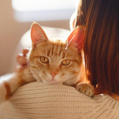 1.常に猫の要求に応じてしまう人, 2.四六時中べったり一緒にいる人, 3.過剰に感情移入する人, 4.日常に変化が少ない生活をしている人
