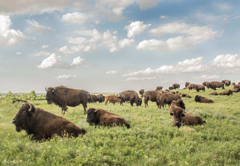 Attractions include plains, waterfalls, rock formations, Konza Prairie, Mushroom Rock State Park and Rock City Park, Coronado Heights, Pillsbury Crossing Wildlife Area, Maxwell Wildlife Refuge, Alcove Springs, Four-State Lookout, Gyp Hills Scenic Drive and Gypsum Hills Scenic Byway