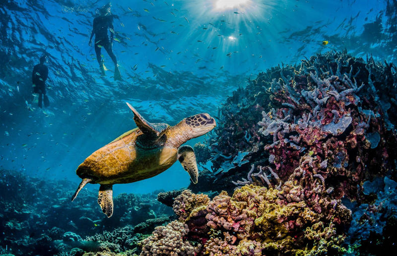 Hawaii, USA Elite escapes, Ibiza, Spain, Tulum, Mexico, Dominican Republic, Saint-Tropez, France, Mykonos, Greece, Lake Como, Italy, Saint Barthélemy, Dubai, UAE, Hawaii, USA, St Moritz, Switzerland