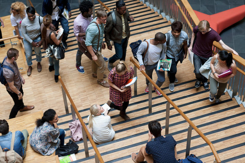 Our study, Students think AI feedback is helpful but not trustworthy, AI provides volume, and teachers have expertise, The vulnerability factor, But many students do not know AI can help, What this means for unis