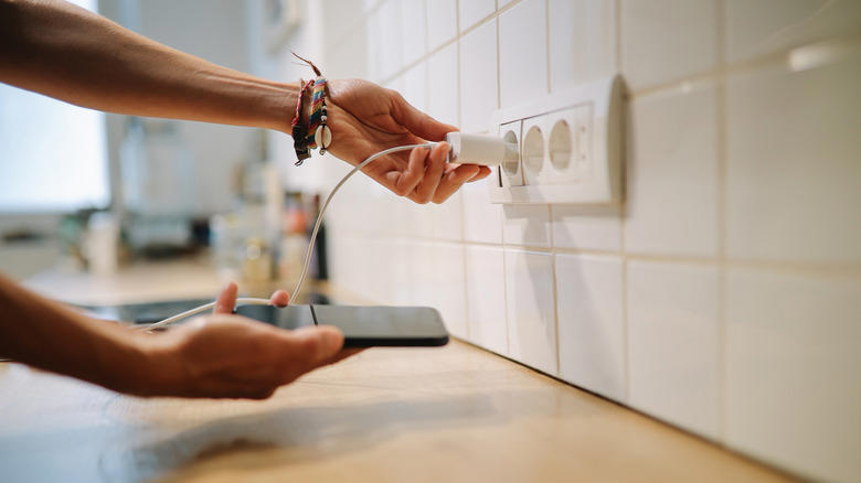 Pet Leashes And Collars, Cleaning Products, Chargers And Electronics, Raw Meat, Mail And Documents, Pet Food, Dirty Sponges, Kitchen Appliances, Cooked Rice, Remote Control, Excessive Decoration, Medications And Pills