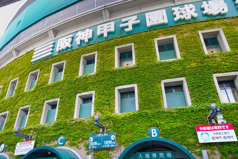 甲子園「大会中に辞退」の衝撃, 「自分たちへの聞き取りはありません」, 禁欲的すぎる生活, 野球部内の「格差社会」, 「自分が悪いから殴られても仕方がない」, 練習環境の差異は, 「監督が絶対なんだと思っていました」