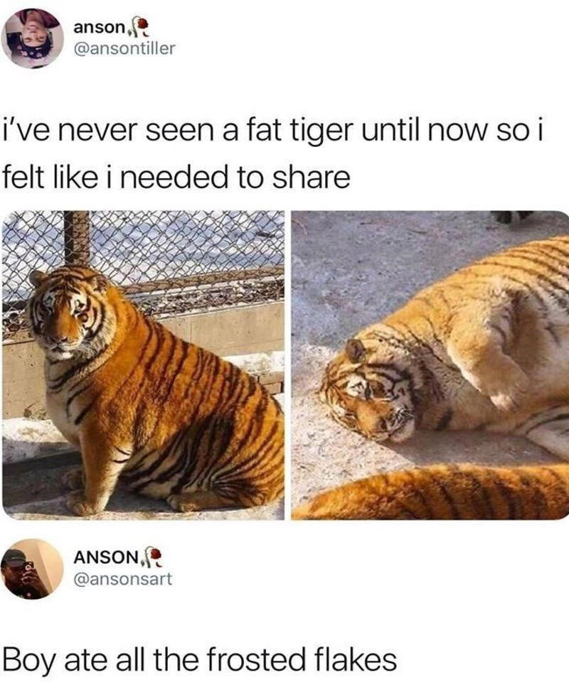 Image 1 of 19, Image 2 of 19, Image 4 of 19, Image 5 of 19, Image 6 of 19, Image 7 of 19, Image 8 of 19, Image 9 of 19, Image 10 of 19, Image 11 of 19, Image 12 of 19, Image 13 of 19, Image 14 of 19, Image 15 of 19, Image 16 of 19, Image 17 of 19, Image 18 of 19, Image 19 of 19