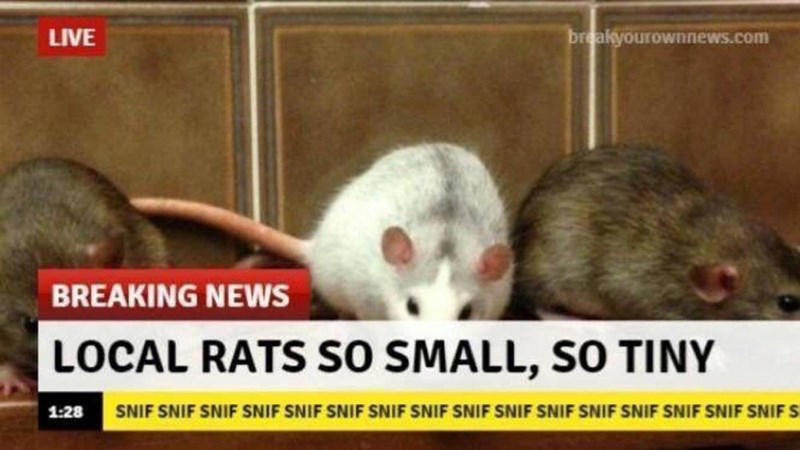 Image 1 of 19, Image 2 of 19, Image 4 of 19, Image 5 of 19, Image 6 of 19, Image 7 of 19, Image 8 of 19, Image 9 of 19, Image 10 of 19, Image 11 of 19, Image 12 of 19, Image 13 of 19, Image 14 of 19, Image 15 of 19, Image 16 of 19, Image 17 of 19, Image 18 of 19, Image 19 of 19