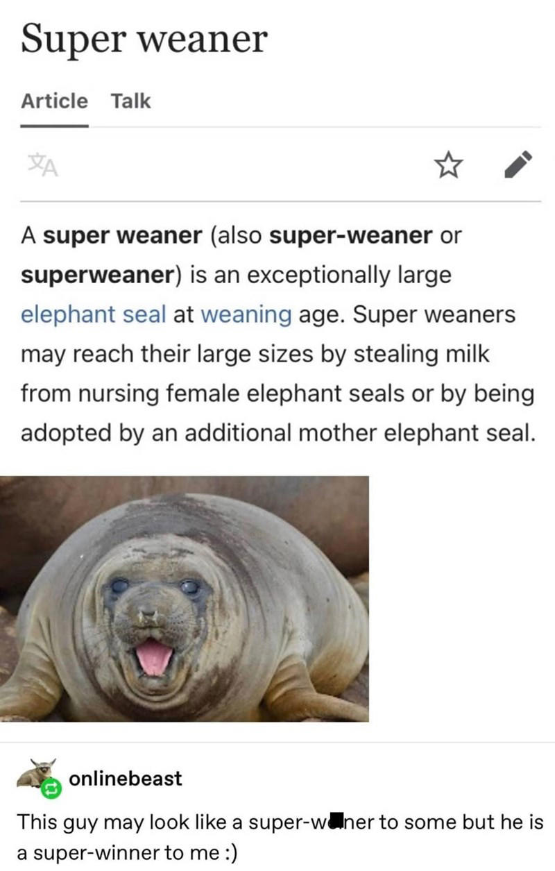 Image 1 of 19, Image 2 of 19, Image 4 of 19, Image 5 of 19, Image 6 of 19, Image 7 of 19, Image 8 of 19, Image 9 of 19, Image 10 of 19, Image 11 of 19, Image 12 of 19, Image 13 of 19, Image 14 of 19, Image 15 of 19, Image 16 of 19, Image 17 of 19, Image 18 of 19, Image 19 of 19