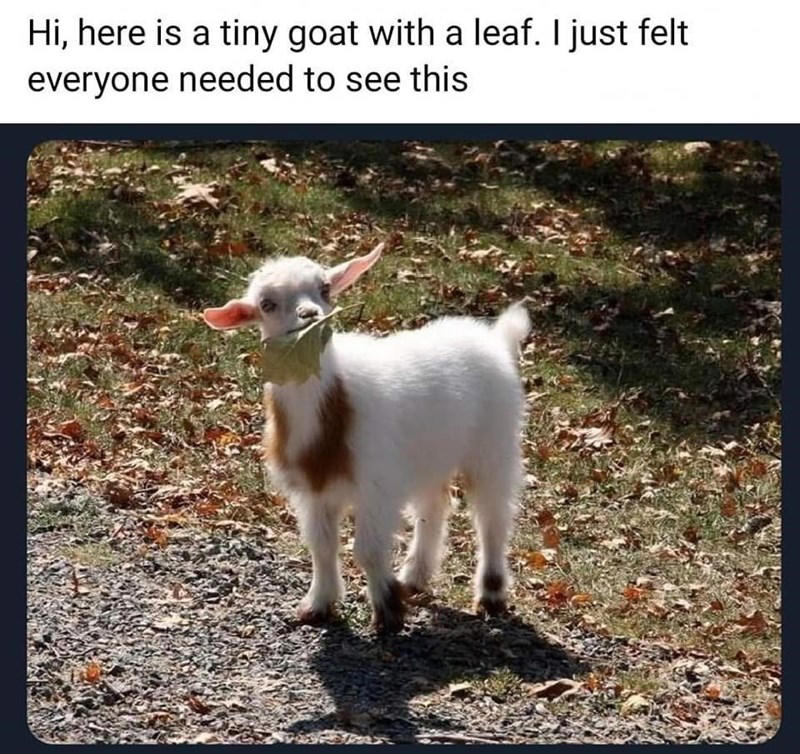 Image 1 of 19, Image 2 of 19, Image 4 of 19, Image 5 of 19, Image 6 of 19, Image 7 of 19, Image 8 of 19, Image 9 of 19, Image 10 of 19, Image 11 of 19, Image 12 of 19, Image 13 of 19, Image 14 of 19, Image 15 of 19, Image 16 of 19, Image 17 of 19, Image 18 of 19, Image 19 of 19
