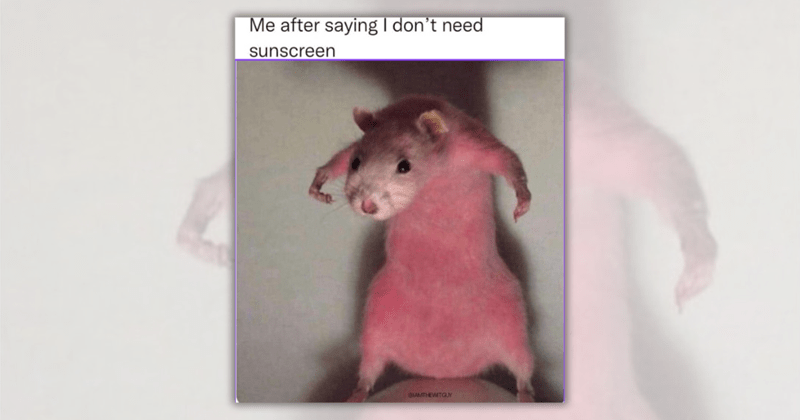 Image 1 of 19, Image 2 of 19, Image 4 of 19, Image 5 of 19, Image 6 of 19, Image 7 of 19, Image 8 of 19, Image 9 of 19, Image 10 of 19, Image 11 of 19, Image 12 of 19, Image 13 of 19, Image 14 of 19, Image 15 of 19, Image 16 of 19, Image 17 of 19, Image 18 of 19, Image 19 of 19