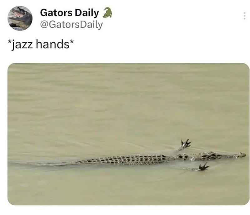 Image 1 of 19, Image 2 of 19, Image 4 of 19, Image 5 of 19, Image 6 of 19, Image 7 of 19, Image 8 of 19, Image 9 of 19, Image 10 of 19, Image 11 of 19, Image 12 of 19, Image 13 of 19, Image 14 of 19, Image 15 of 19, Image 16 of 19, Image 17 of 19, Image 18 of 19, Image 19 of 19