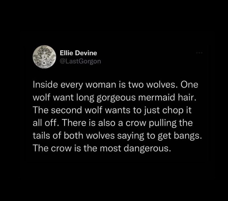 Image 1 of 19, Image 2 of 19, Image 4 of 19, Image 5 of 19, Image 6 of 19, Image 7 of 19, Image 8 of 19, Image 9 of 19, Image 10 of 19, Image 11 of 19, Image 12 of 19, Image 13 of 19, Image 14 of 19, Image 15 of 19, Image 16 of 19, Image 17 of 19, Image 18 of 19, Image 19 of 19