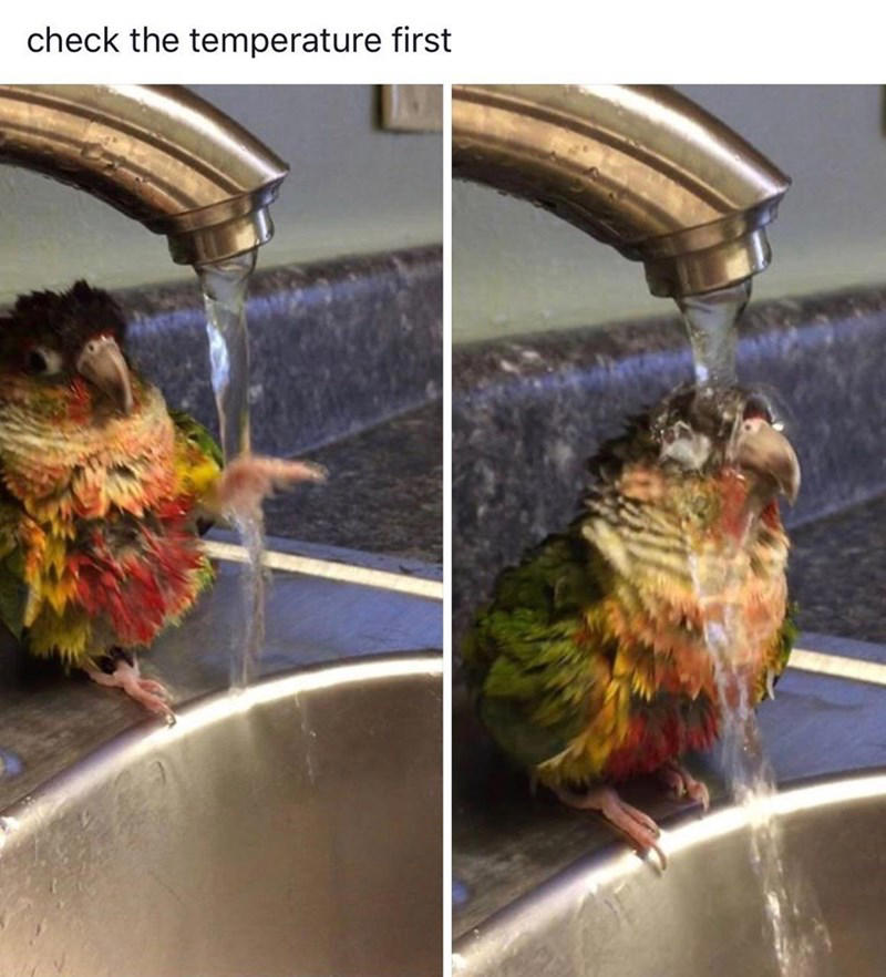 Image 1 of 19, Image 2 of 19, Image 4 of 19, Image 5 of 19, Image 6 of 19, Image 7 of 19, Image 8 of 19, Image 9 of 19, Image 10 of 19, Image 11 of 19, Image 12 of 19, Image 13 of 19, Image 14 of 19, Image 15 of 19, Image 16 of 19, Image 17 of 19, Image 18 of 19, Image 19 of 19