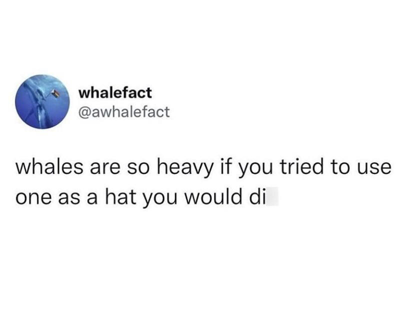 Image 1 of 19, Image 2 of 19, Image 4 of 19, Image 5 of 19, Image 6 of 19, Image 7 of 19, Image 8 of 19, Image 9 of 19, Image 10 of 19, Image 11 of 19, Image 12 of 19, Image 13 of 19, Image 14 of 19, Image 15 of 19, Image 16 of 19, Image 17 of 19, Image 18 of 19, Image 19 of 19