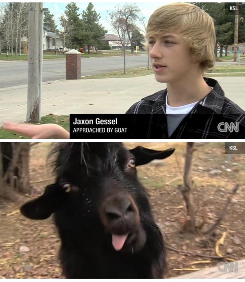 Image 1 of 19, Image 2 of 19, Image 4 of 19, Image 5 of 19, Image 6 of 19, Image 7 of 19, Image 8 of 19, Image 9 of 19, Image 10 of 19, Image 11 of 19, Image 12 of 19, Image 13 of 19, Image 14 of 19, Image 15 of 19, Image 16 of 19, Image 17 of 19, Image 18 of 19, Image 19 of 19