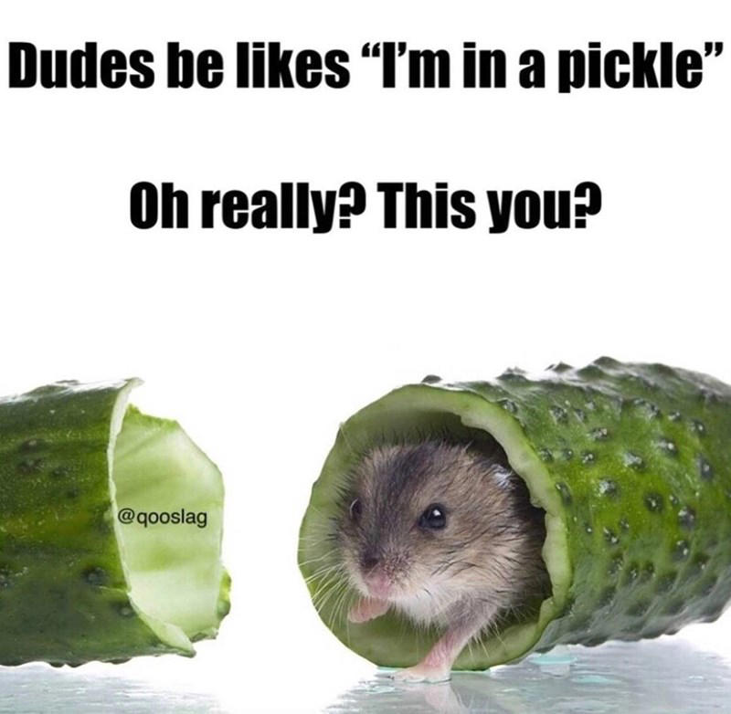 Image 1 of 19, Image 2 of 19, Image 4 of 19, Image 5 of 19, Image 6 of 19, Image 7 of 19, Image 8 of 19, Image 9 of 19, Image 10 of 19, Image 11 of 19, Image 12 of 19, Image 13 of 19, Image 14 of 19, Image 15 of 19, Image 16 of 19, Image 17 of 19, Image 18 of 19, Image 19 of 19