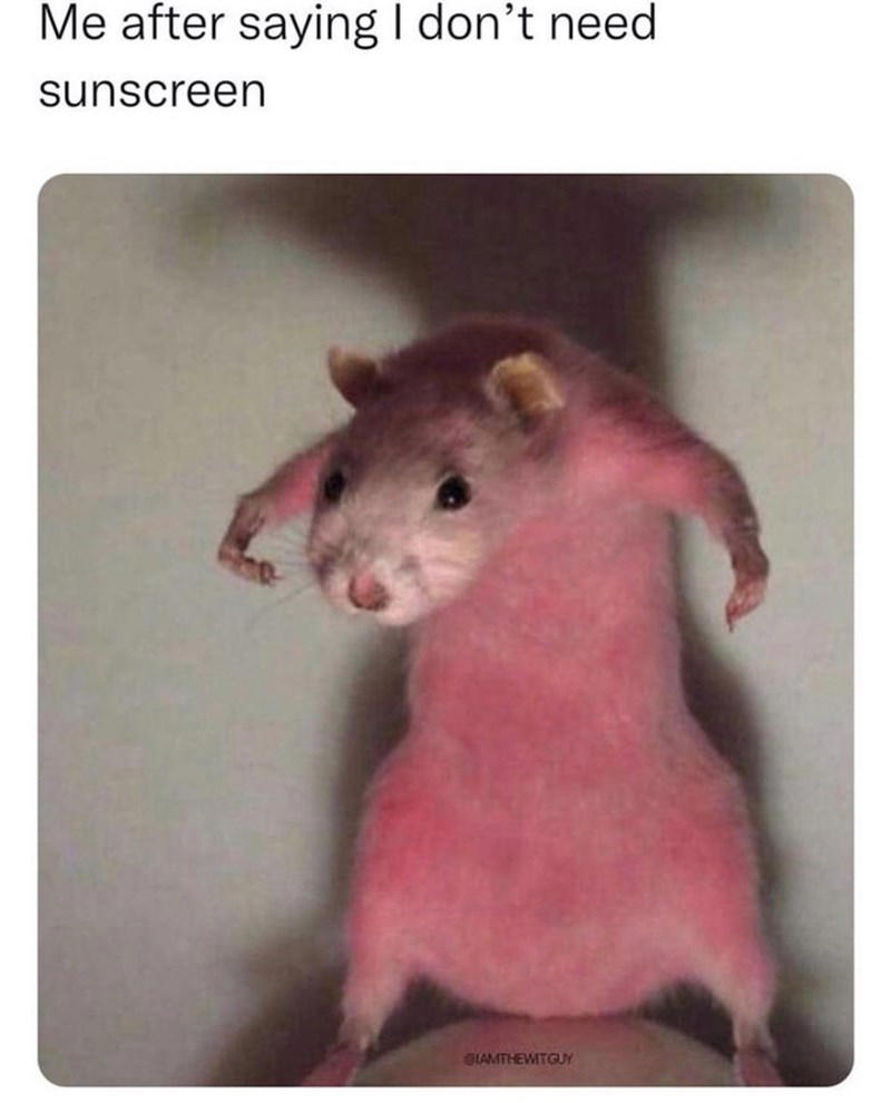 Image 1 of 19, Image 2 of 19, Image 4 of 19, Image 5 of 19, Image 6 of 19, Image 7 of 19, Image 8 of 19, Image 9 of 19, Image 10 of 19, Image 11 of 19, Image 12 of 19, Image 13 of 19, Image 14 of 19, Image 15 of 19, Image 16 of 19, Image 17 of 19, Image 18 of 19, Image 19 of 19