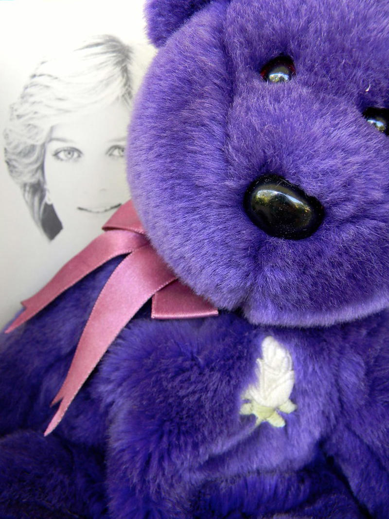 Princess the Bear, Peanut the Elephant, McDonald's Teenie Beanie Babies, Teddy Bears (Multiple Colors), Tabasco the Bull, Humphrey the Camel, Peking the Panda, Chilly the Polar Bear, Bones the Dog, Inch the Worm, Web the Spider, Splash the Whale, Quackers the Duck, Lizzy the Lizard, Pinky the Flamingo, Squealer the Pig, Snort the Bull, Legs the Frog, When Plush Became Precious