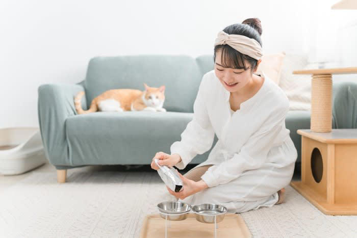 愛猫の健康を守る『キャットフードの選び方』3選, 1. 成分表示を正しく読む, 2.ライフステージに合ったフードを選ぶ, 3.「総合栄養食」を選ぶ, フードが“合っているか”を見極めるチェックポイント