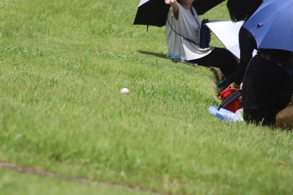 高校野球地方大会, 高校野球全国大会（甲子園）, 夏の甲子園はどこで観戦するといい？, プロ野球（一軍）, プロ野球（二軍）など, 選手と観客を暑熱から守るため