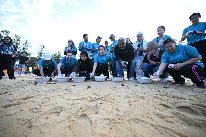 Real action, local impact, Kijal Beach, a precious nesting ground, Conservation tourism in action, Looking ahead