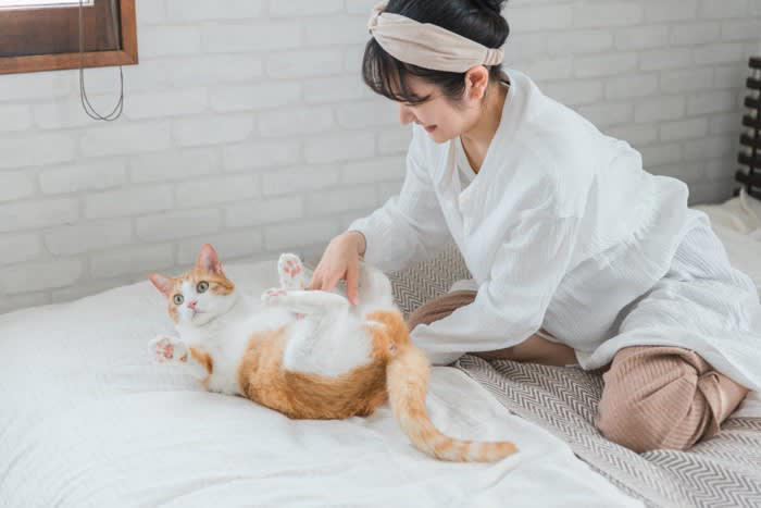 1.撫でられたくない場所を撫でる, 2.撫でられたくないタイミングで撫でる, 3.高い位置から撫でる, 4.しつこく撫で続ける