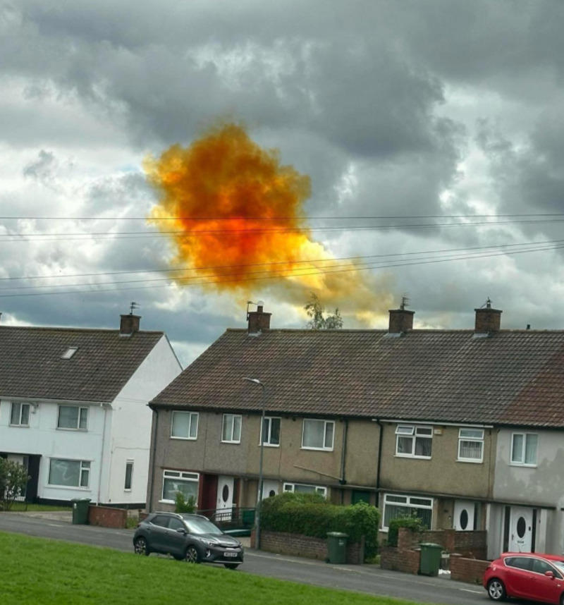 1. Man made of fire, 2. A proud-looking Cassowary (a flightless bird native to Australia, New Guinea, and the Moluccas) and its vibrant green eggs, 3. A wife got out of a bug landing on her husband and decided his tee was the perfect spot to lay her eggs, 4. An orange gas cloud in the sky, which was a result of an accident at a nearby industrial plant, 5. This washed-up angler fish that lives 8,000+ feet deep, 6. This shot of the inside of a telephone cable, 7. An iPhone with no cameras that is given to nuclear plant workers, 8. Rare jellyfish caught at the surface, 9. Ocean underwater lake, 10. These odd bulbous mammatus storm clouds, 11. Firework that didn´t launch, but still detonated, 12. This 18-inch heavy metal item with glass, 13. A small wooden box with three circular compartments, 14. A rounded ball was taken out of an Ohio lake, 15. A nail with a strange number was found in a window, 16. Upside-down reflection in a hand mirror, 17. A rounded metal ball found at the bottom of Yaupon Beach, Oak Island, 18. Hard material found inside a lipstick, 19. A steel bar found with the word "Puritan" engraved from an old house in England